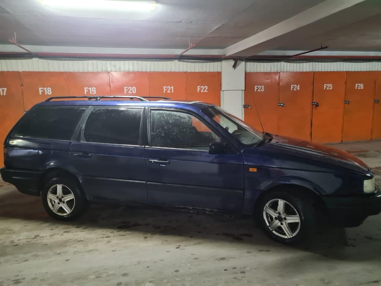 Продам живого пассата