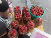Продам.Клубника дачная