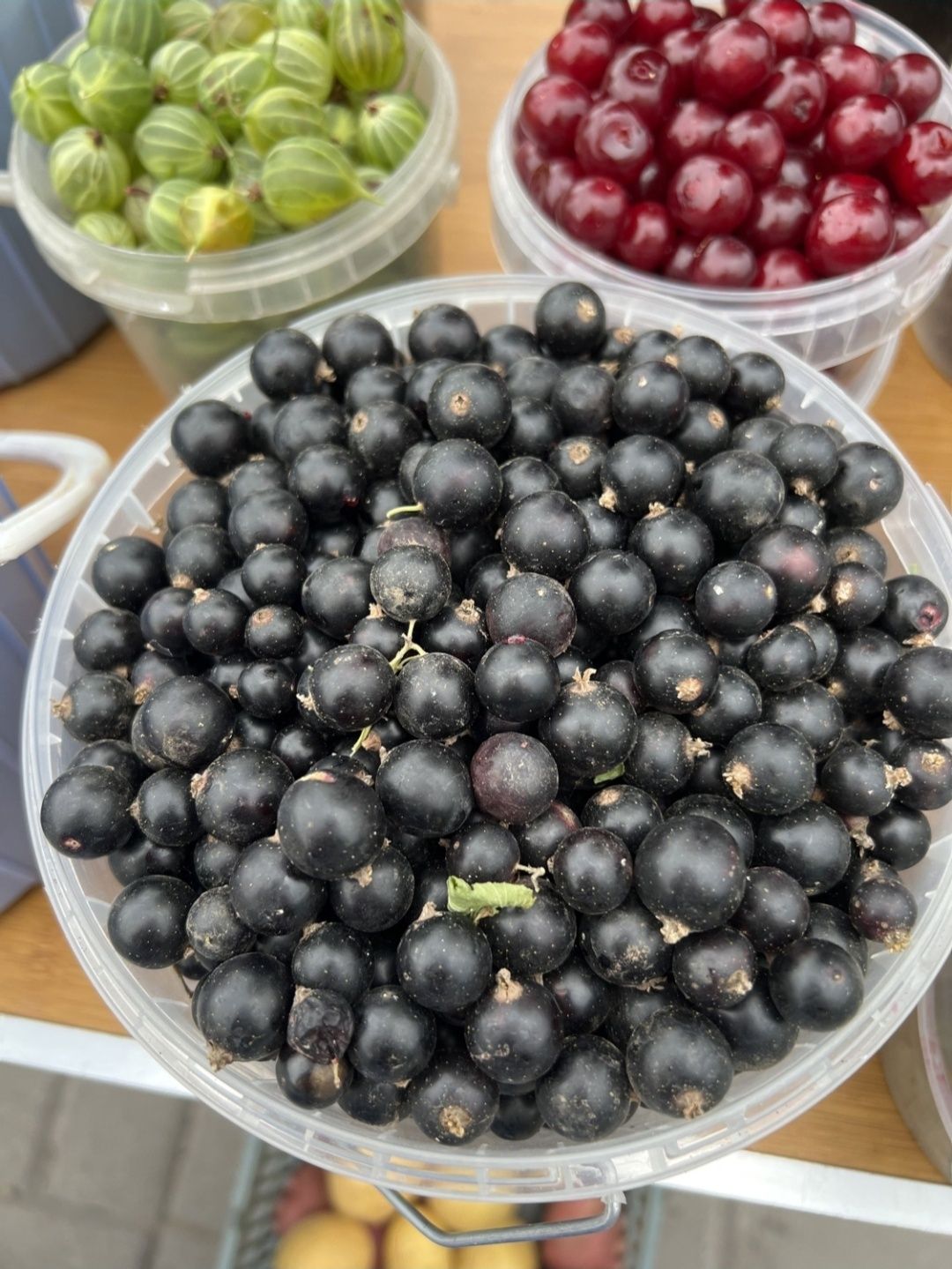 Смородина. Продается дачная продукция без нитратов и химикатов. Чисто