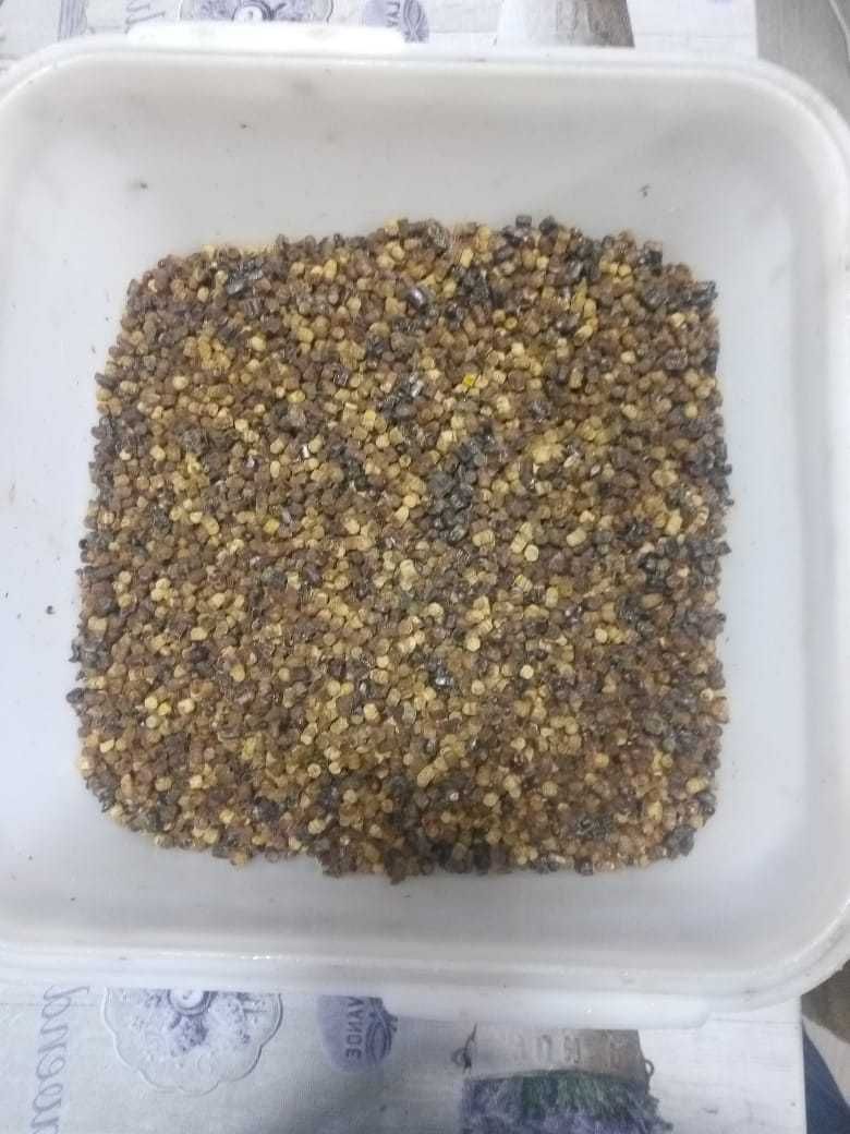 Продам пергу пчелинную