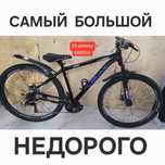 Оригинал велик взрослый