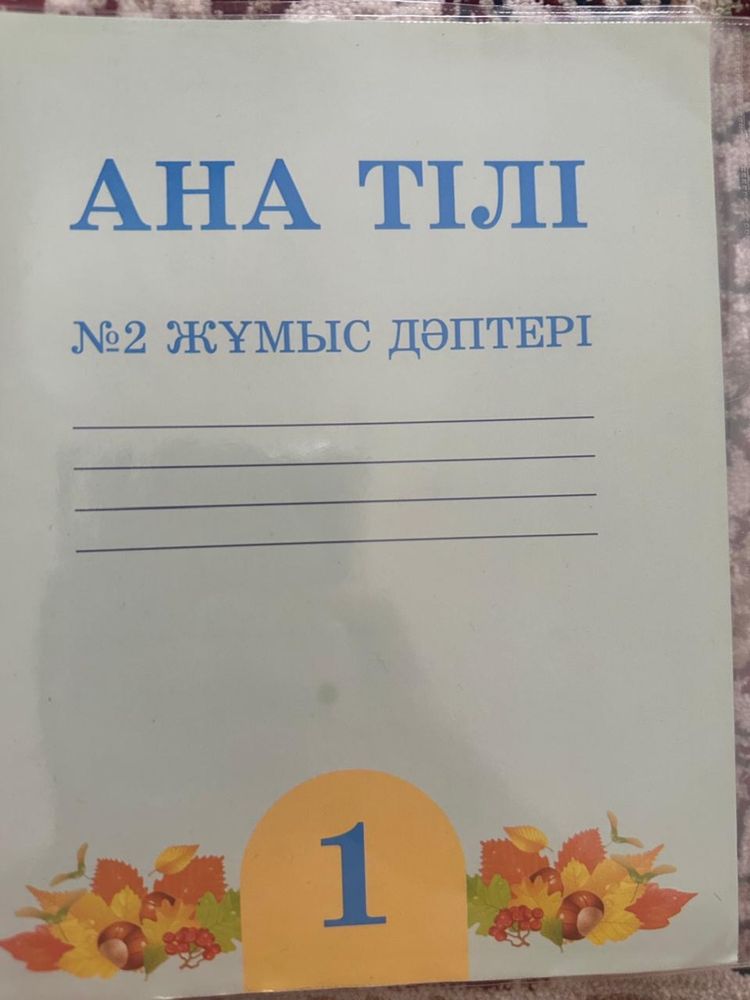 Рабочие тетради для 1 кл казахской школы