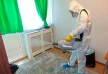 Уничтожение насекомых в г.Зыряновск от Компании DezClean