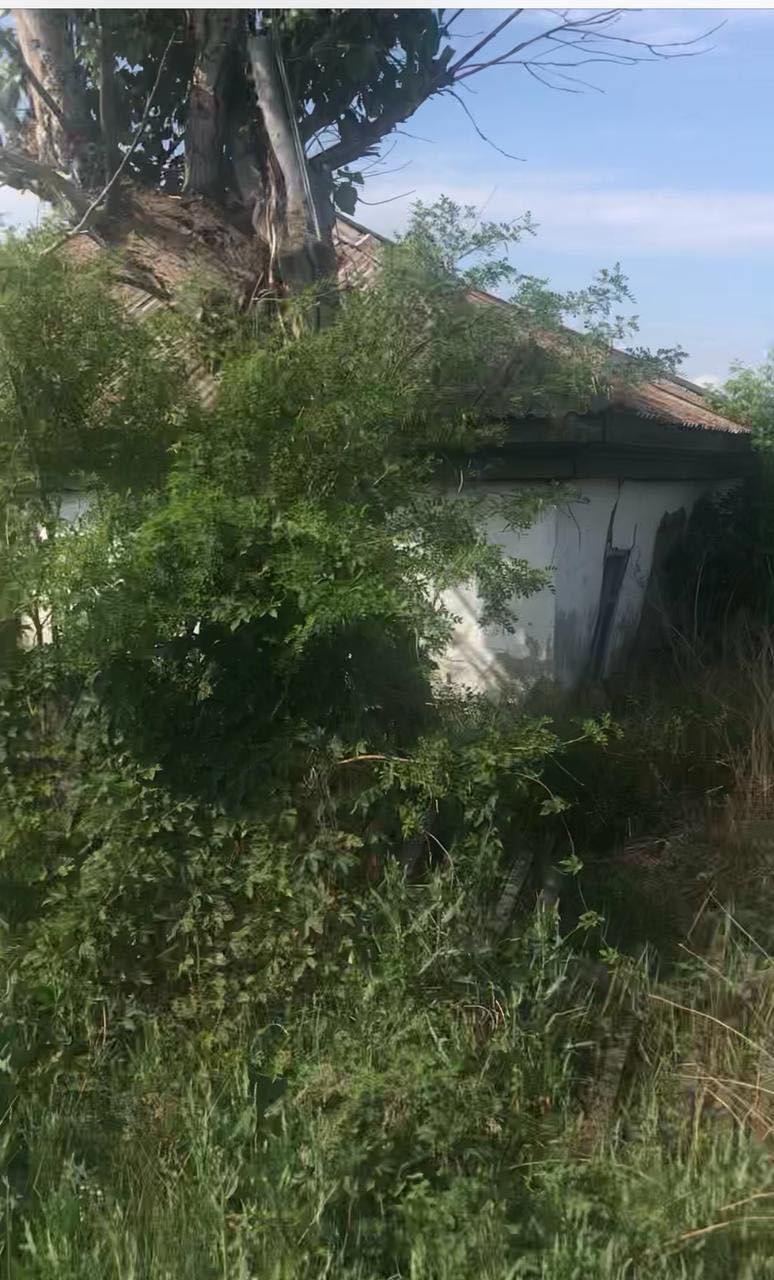 Продам дом с делимым земельным участком в Щучинске