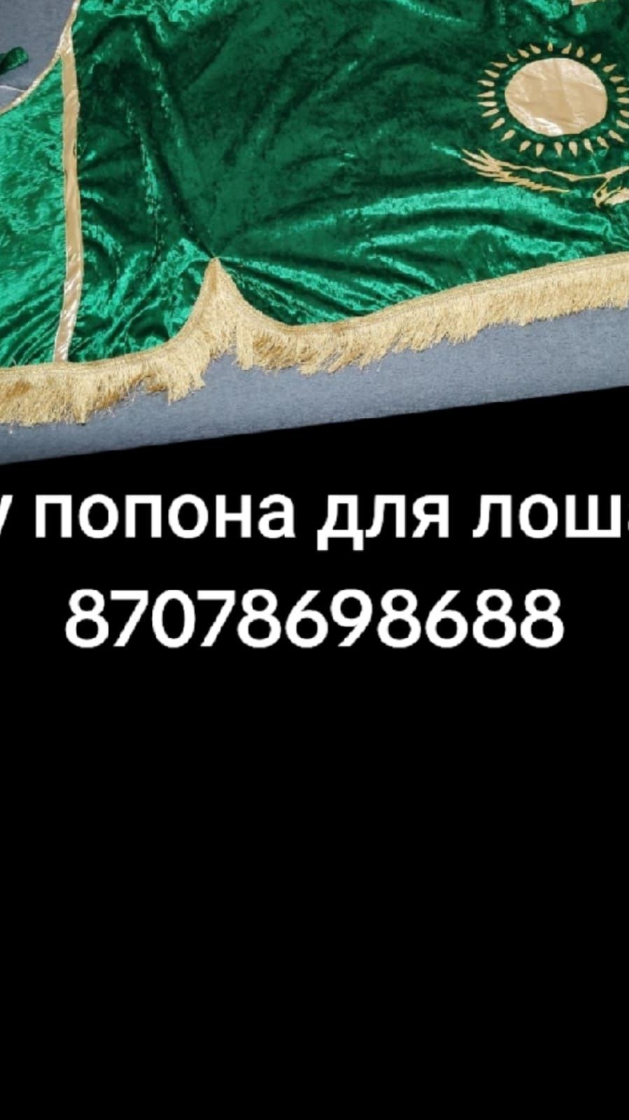 Жабу,попона,жылқы, лошадь, ат