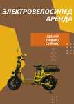 Аренда Электровелосипедов в Алматы Доставка Курьер
