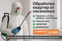 Обработка от тараканов, клопов, муравьев, мышей и других насекомых