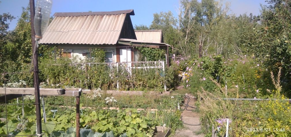 Дача"Энтузиаст".