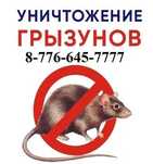 ‼️ Уничтожение таракан , блох , мышей , крыс , клещей ‼️ Каскелен