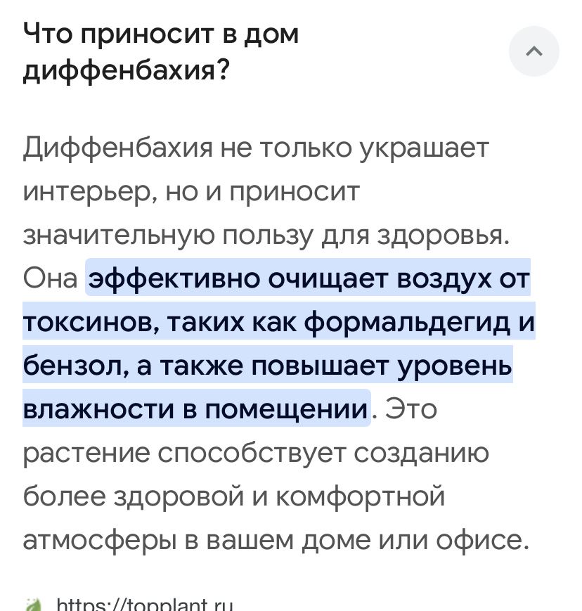 Продам Диффенбахию