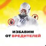 Дезинфекция от насекомых | Дезинсекция