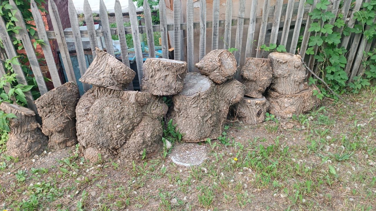Отдам бесплатно брёвна