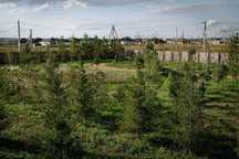 Продам земельный участок 8-10 соток в 15 минутах от Астаны