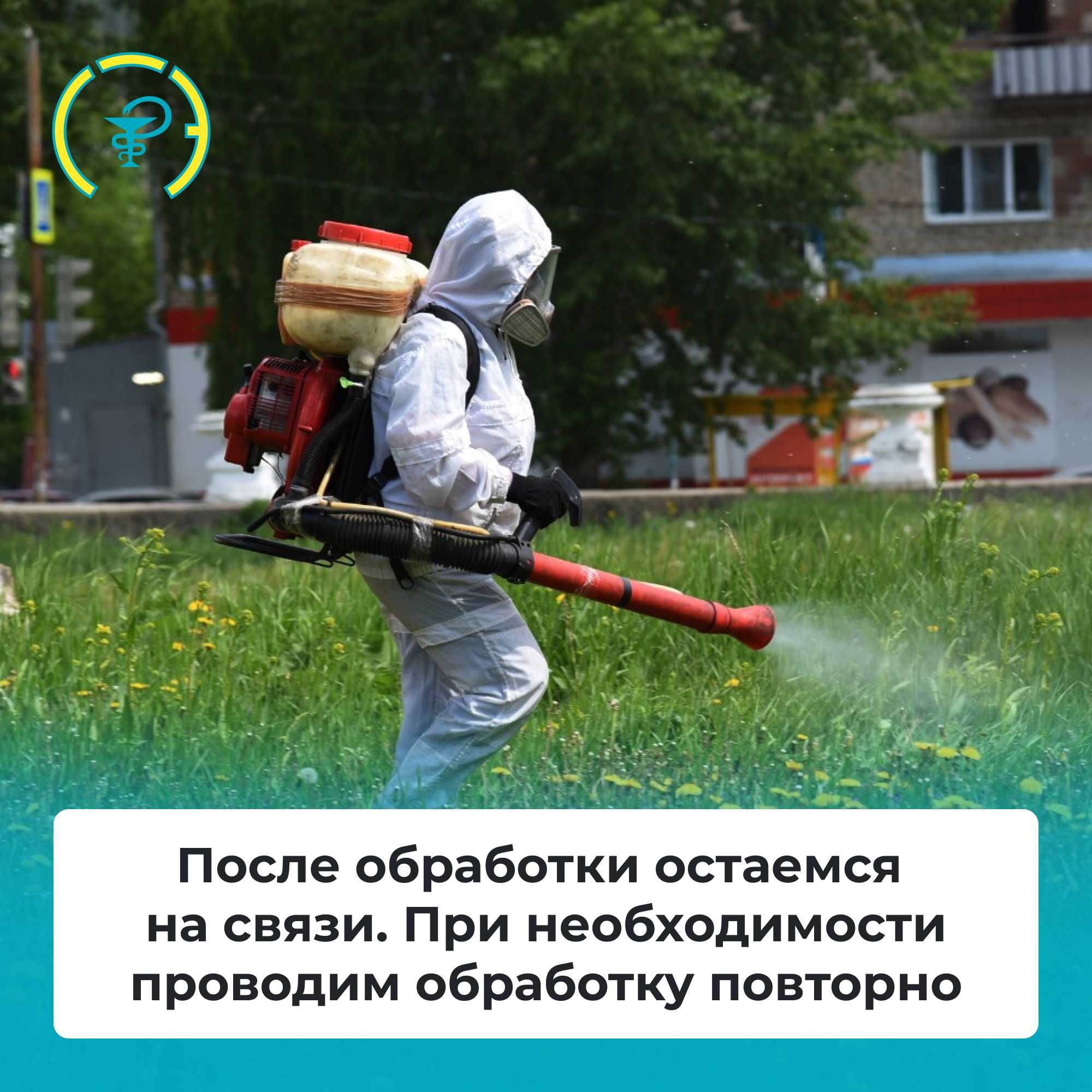Уничтожение тараканов клопов крыс запахов плесени муравьев пауков