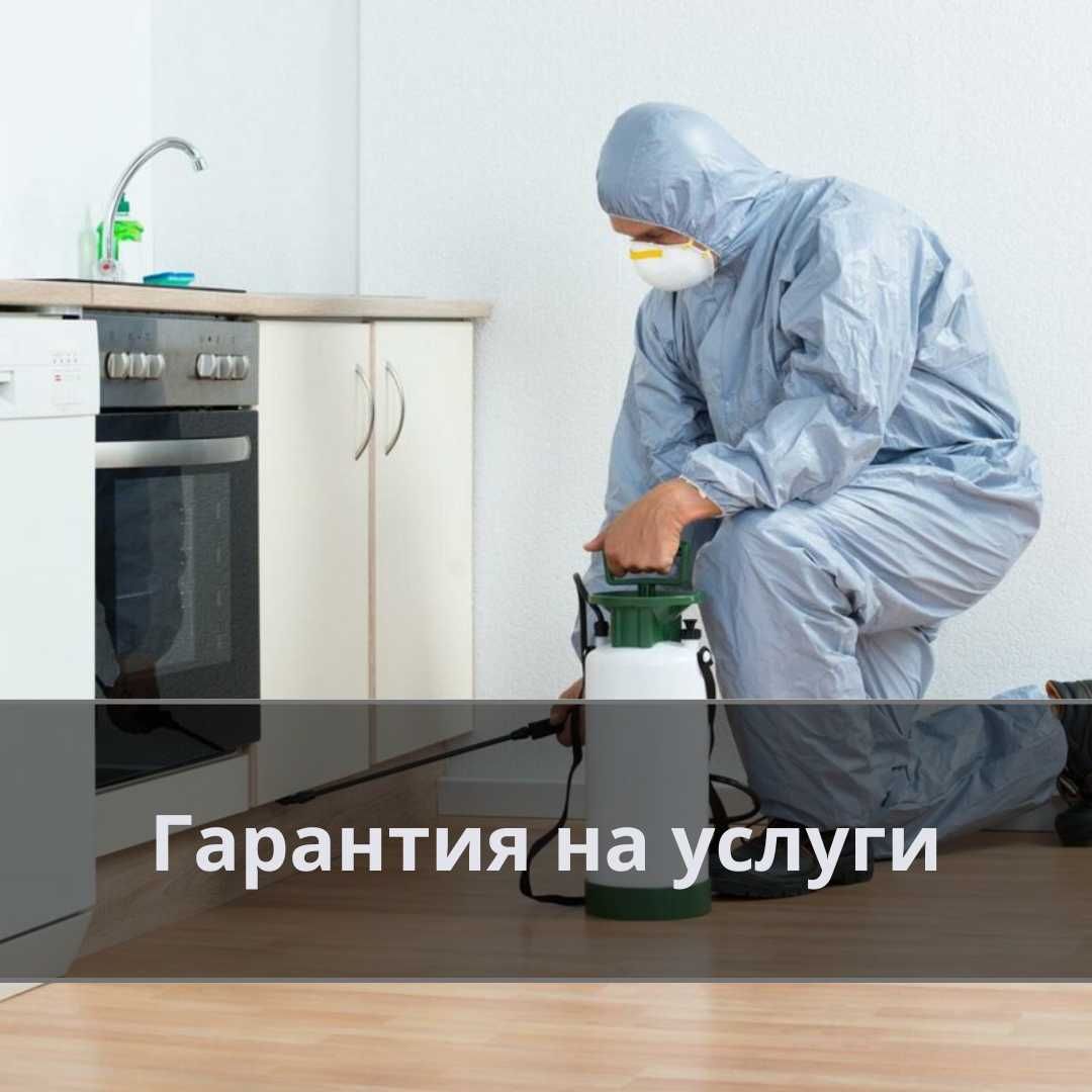 Дезинфекция тараканов муравьев крыс клопов Государственная Лицензия