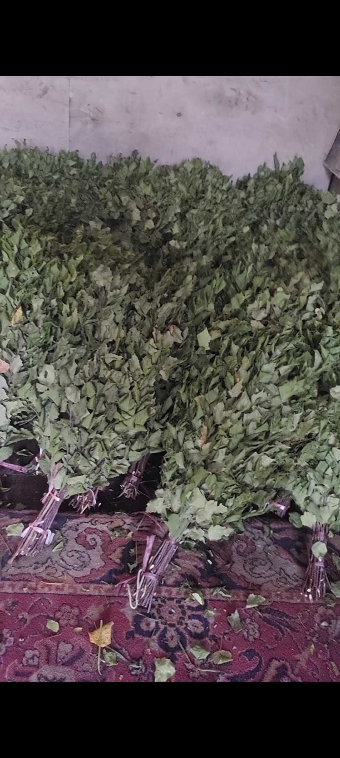 Продам Березавые веники есть масло пихтовое