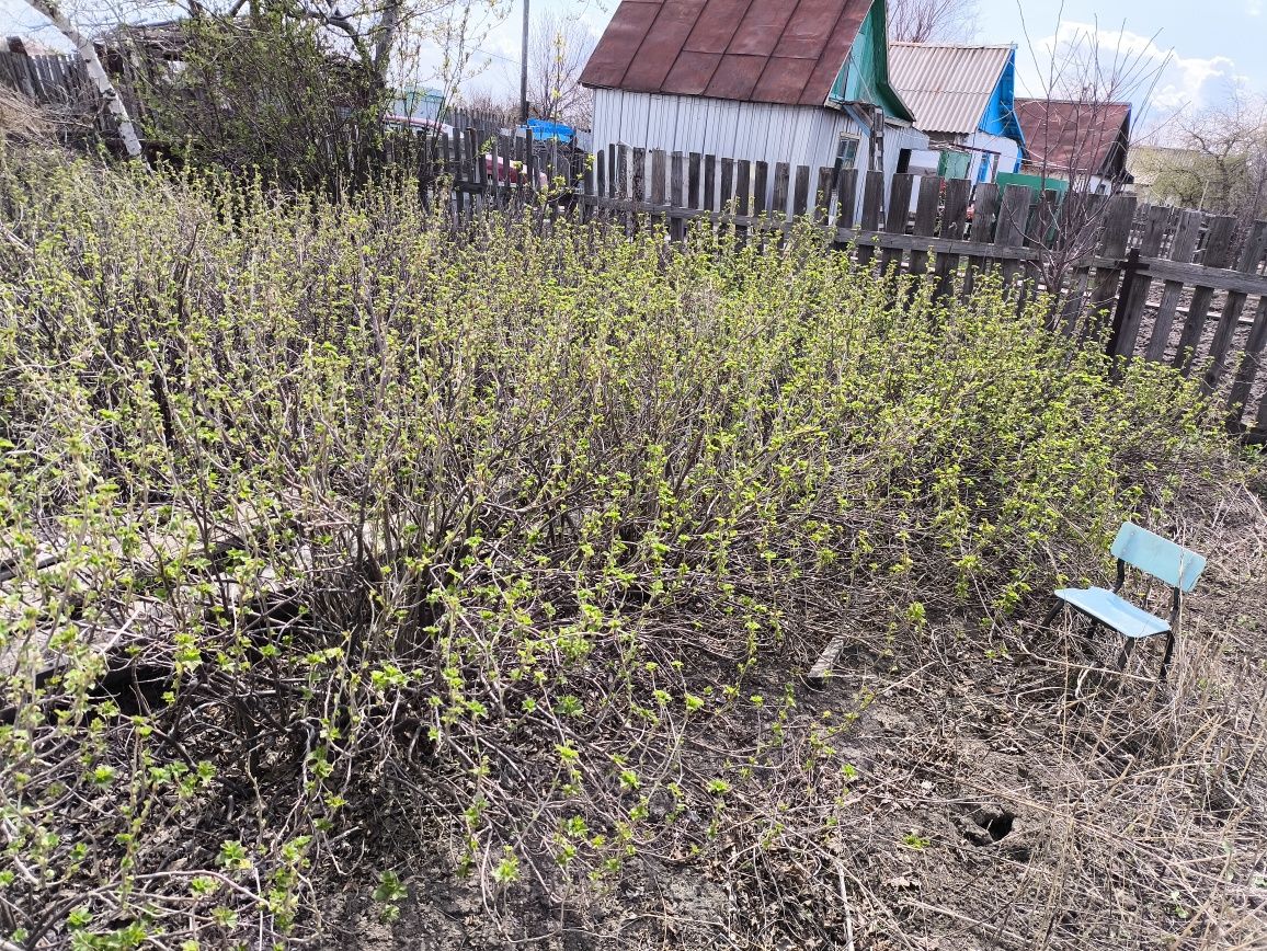 Продается дача  Черёмушки