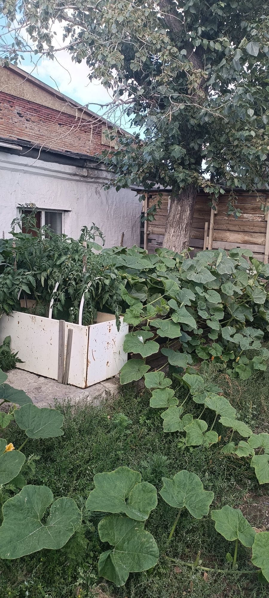Продам базу, дом