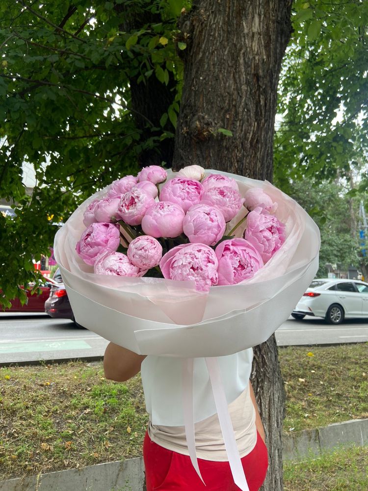Пионы Голландские