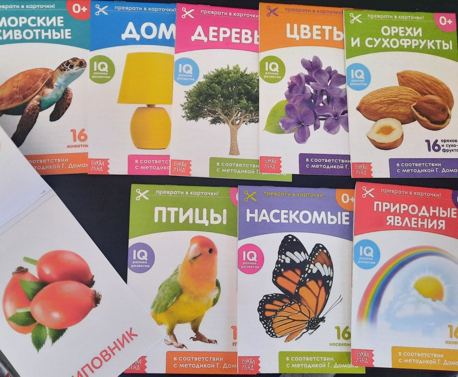 Набор мини книжки энциклопедии 8 шт