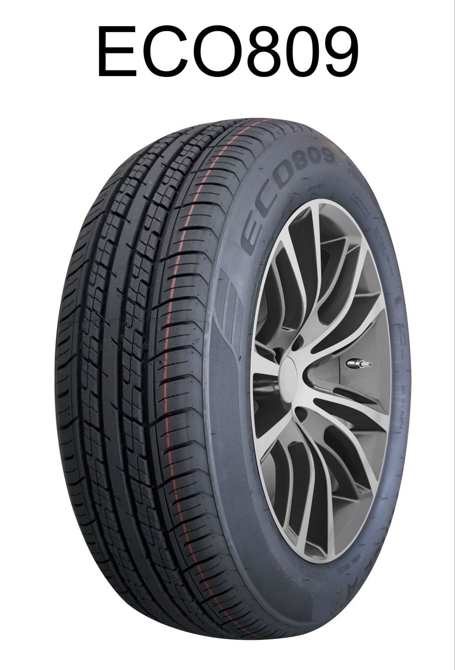 205/60R16 92H Rapid ECO809