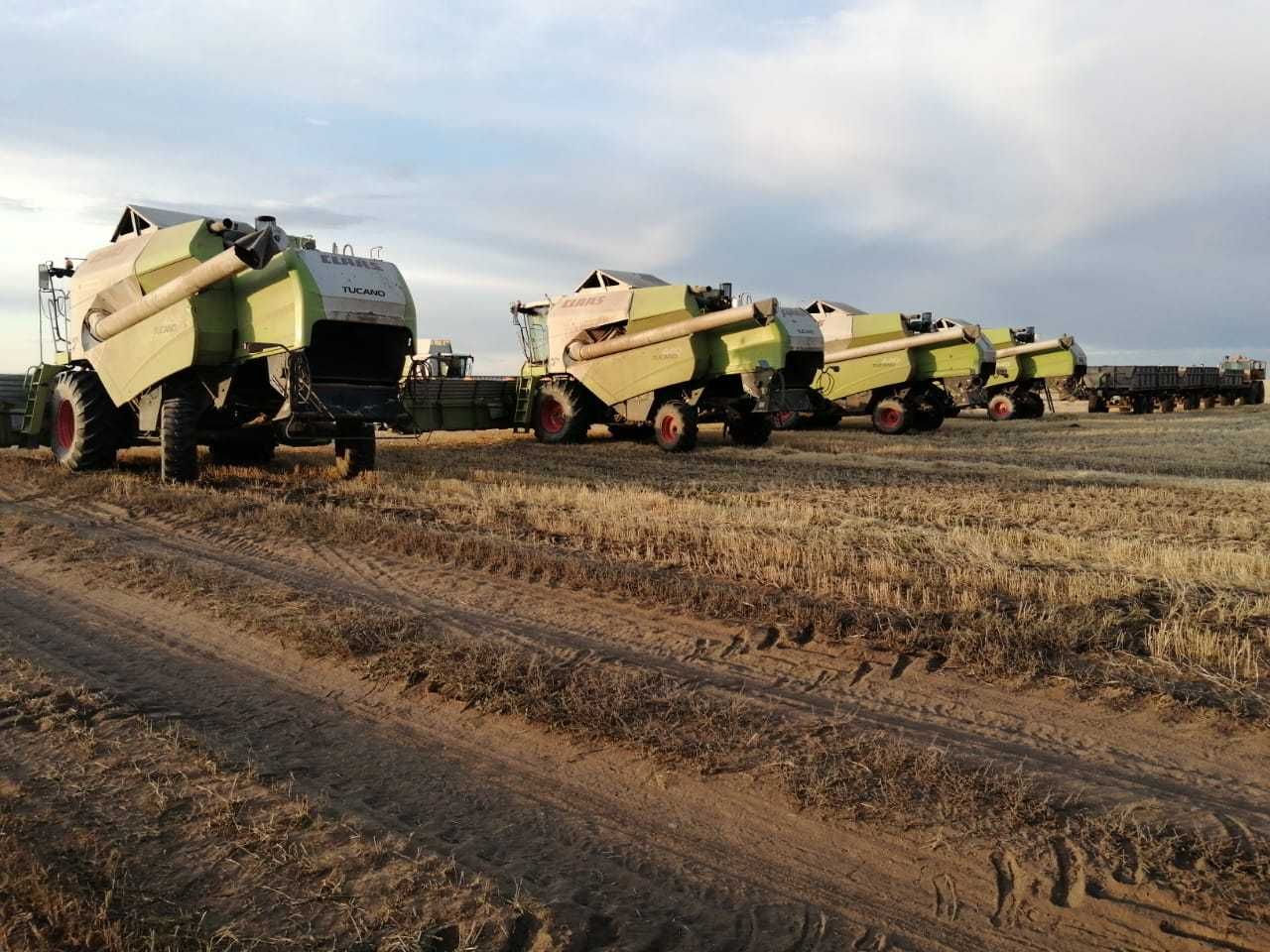 Комбайн зерноуборочный