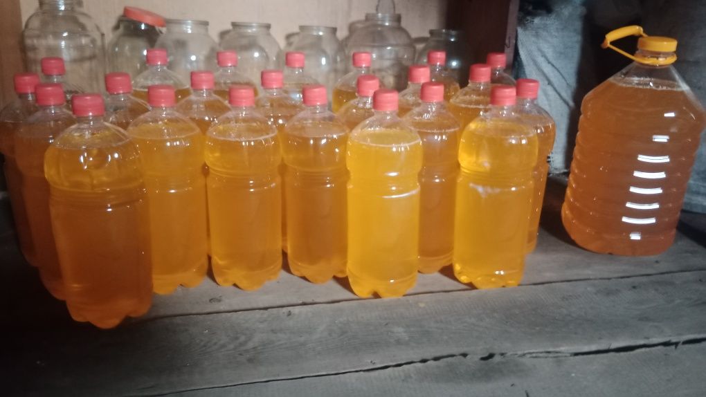 Продам мед катонский собственнной