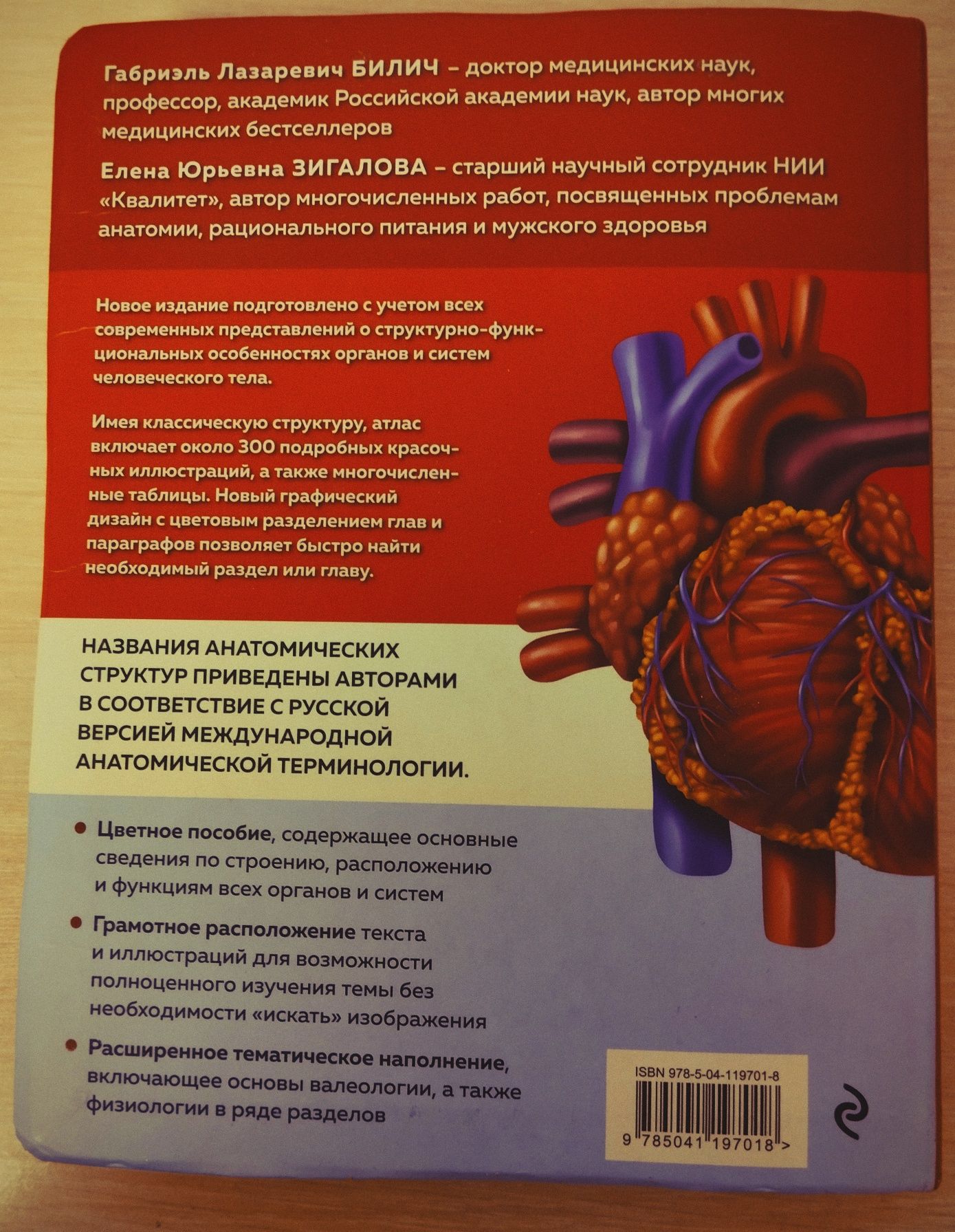 Атлас анатомии человека
