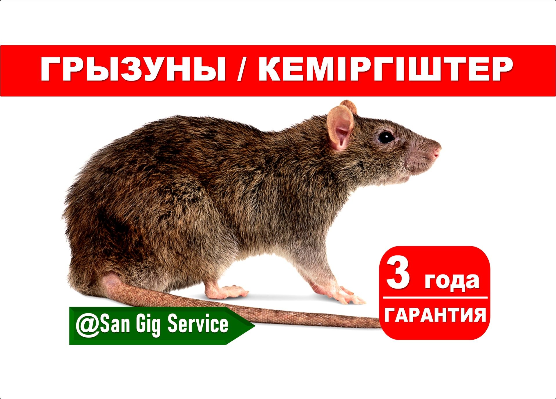 Уничтожение Грызунов крысы и мыши
