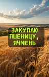 Пшеница ячмень 3акуп