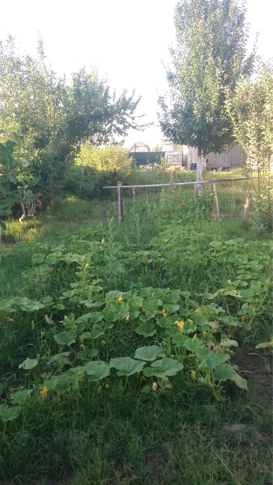Меняю дом 3 комн в Алматы на квартиру в Астане