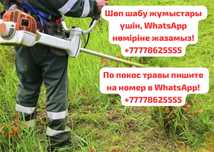 Шөп шабу / Покос травы