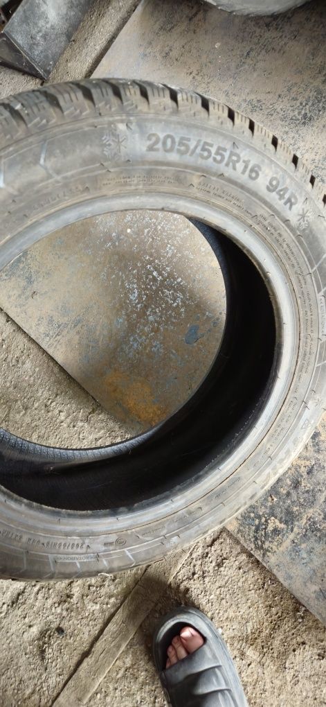 Резина зима 205/55 R16 94R Triangle