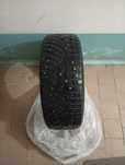 Шины Nitto Therma Spike