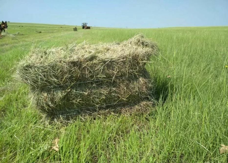 продам тюкованное сено с  поле есть доставка