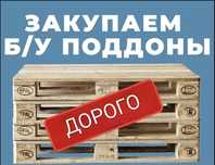 Приобретаем поддоны 24/7