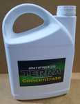 Антифриз concentrate