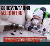 Дезинфекция тараканов клопов
