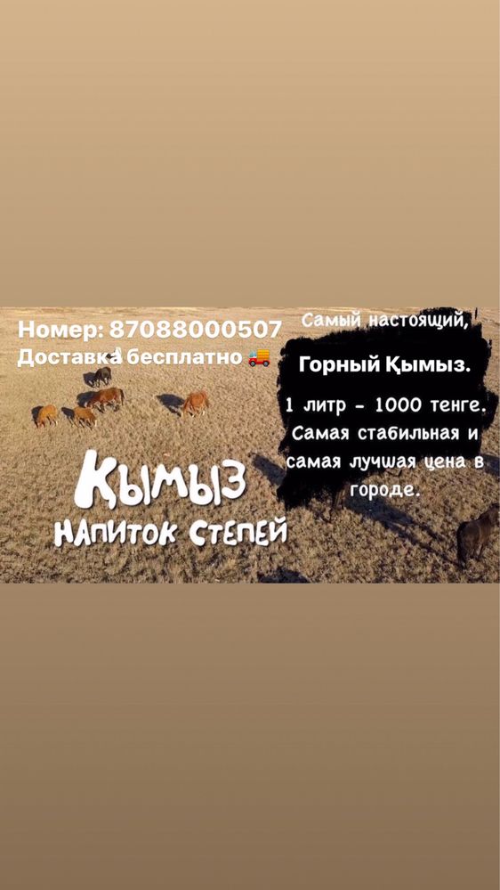 Кымыз горный кымыз Тараз
