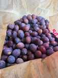 Слива местная курилкино