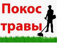 Покас травы, скосить траву, косить траву