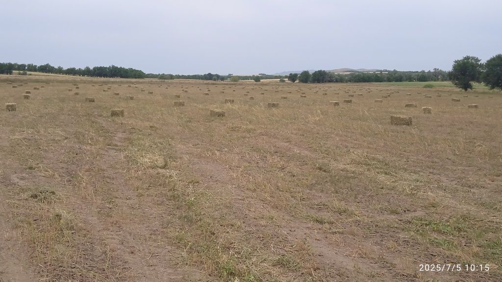 Сено(тюки)хорошие
