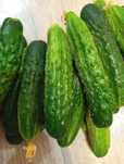 Продам огурчики маленькие