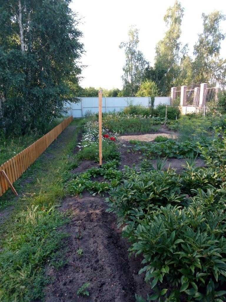 Продам дом в Мичурино