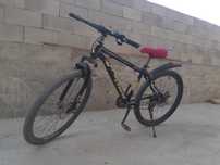 Велосипед EFriend