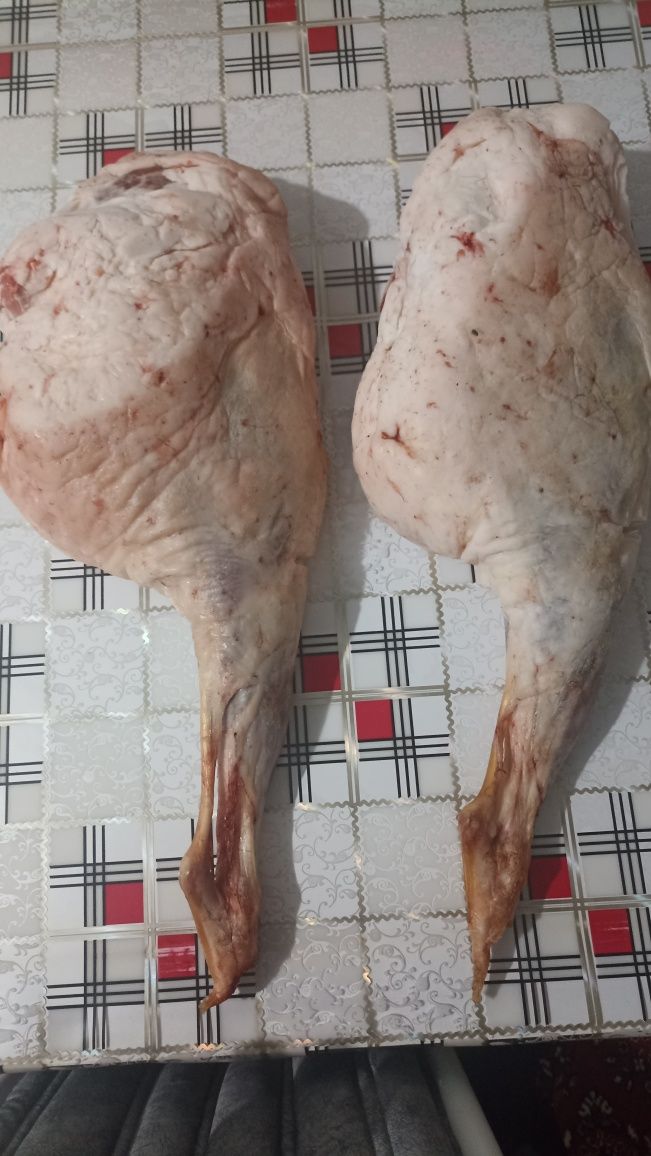 Мясо Баранина Ляжка задок Высшего качество
