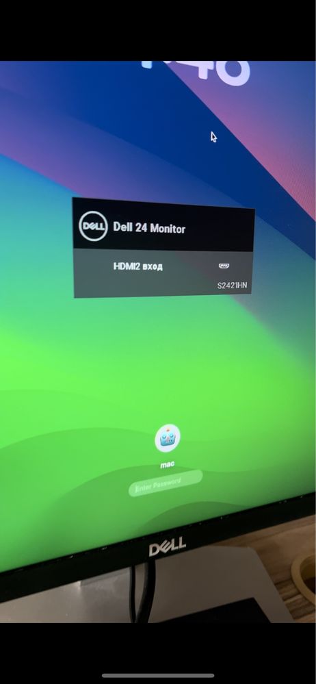 Dell 24 monitor монитор