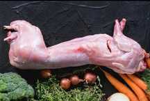 Продам мясо кролика