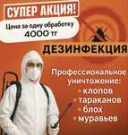 Уничтожение тараканов и клопов от 4000 тг | Без запаха
