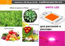 для выращивания клубники фито-освещение светильники прожекторы диоды